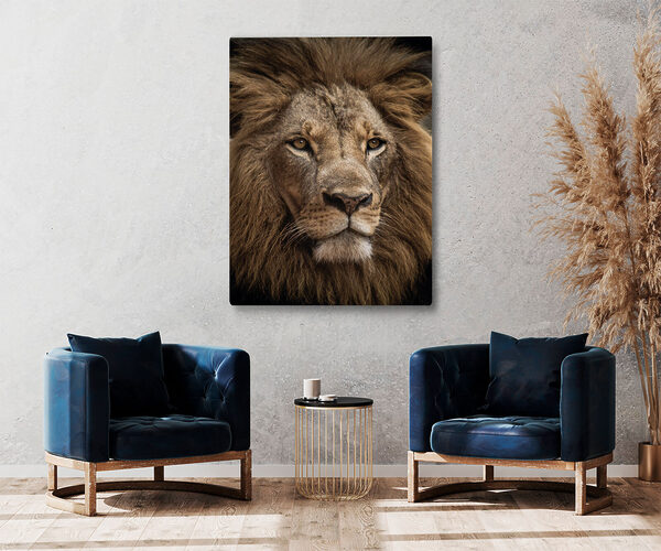 A close up of a lion's face