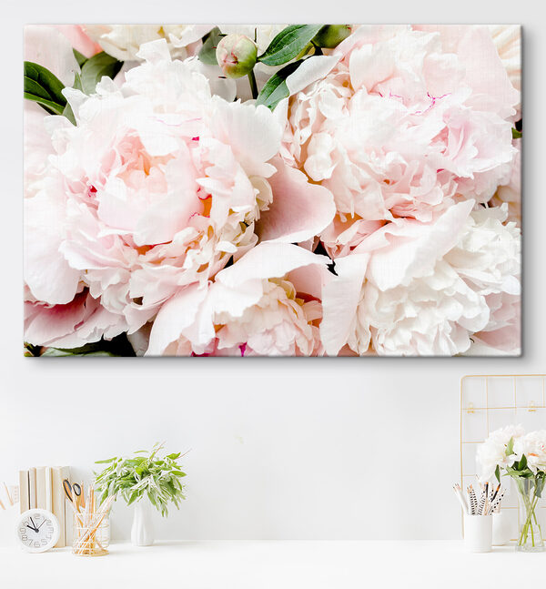 A group of pink flowers