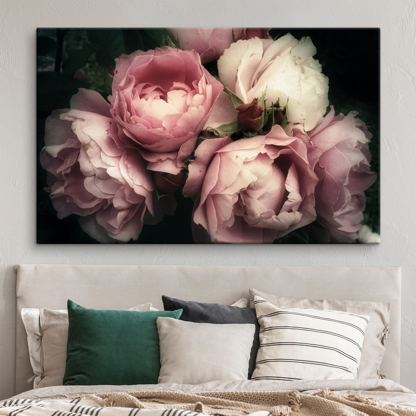 A group of pink and white roses A group of pink and white roses