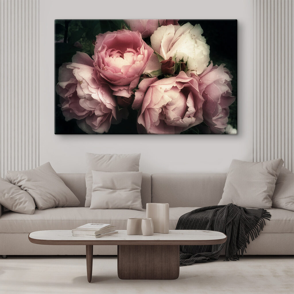 A group of pink and white roses A group of pink and white roses