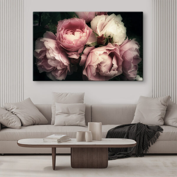 A group of pink and white roses A group of pink and white roses