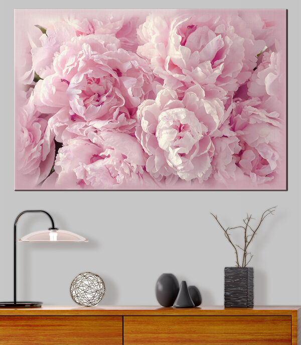 A group of pink flowers
