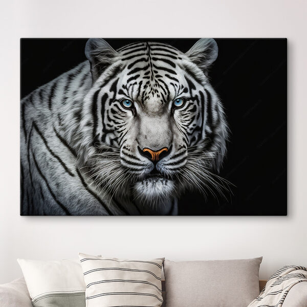 A white tiger with blue eyes A white tiger with blue eyes