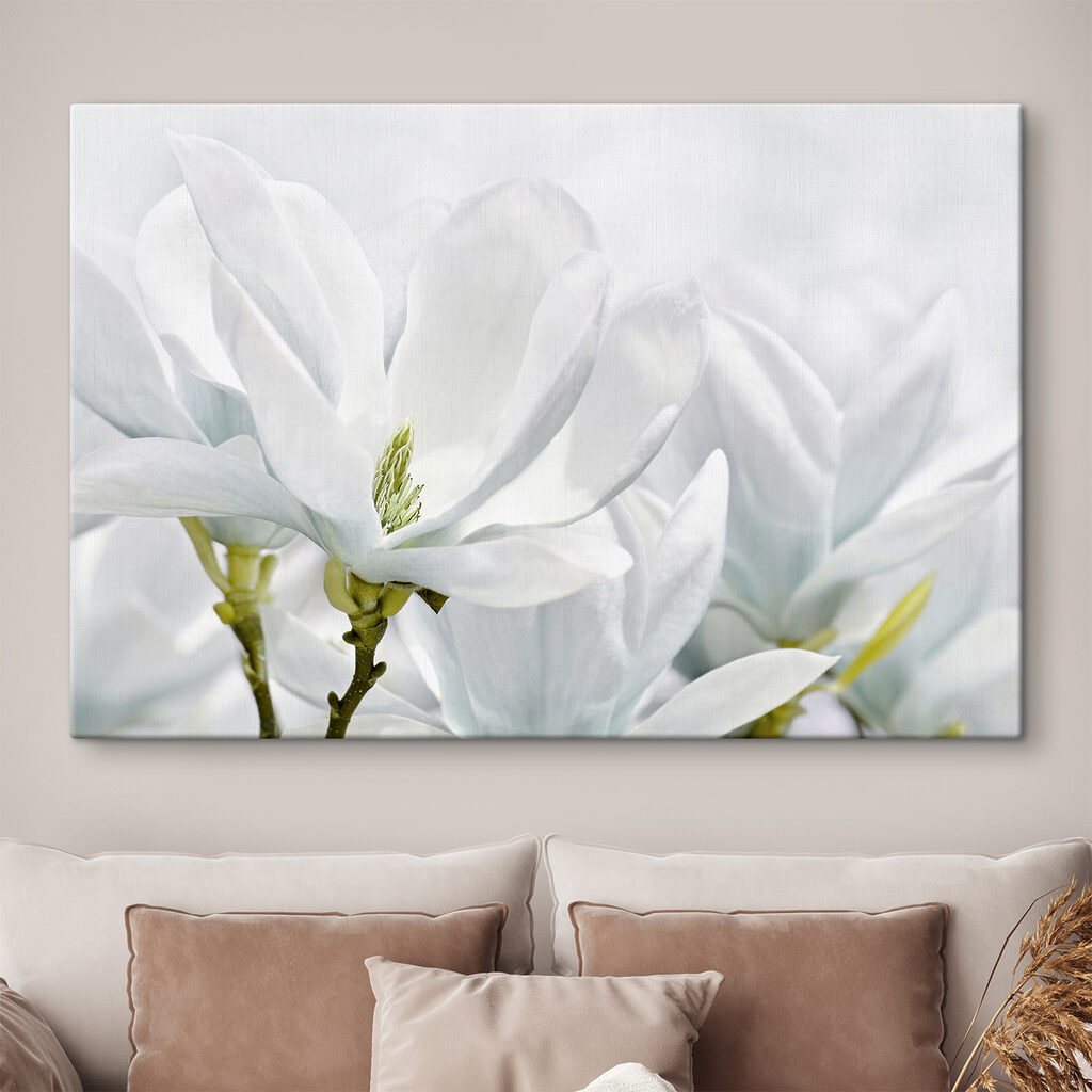 Close up of white flowers