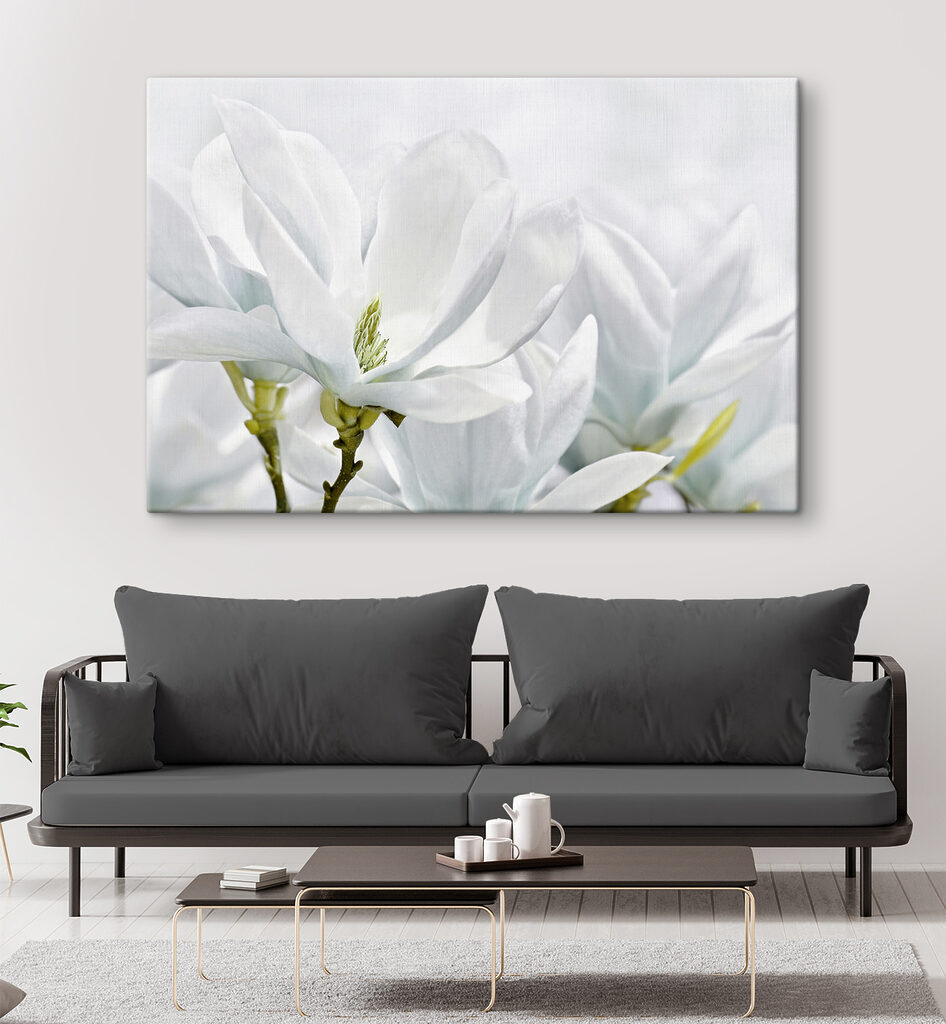 Close up of white flowers