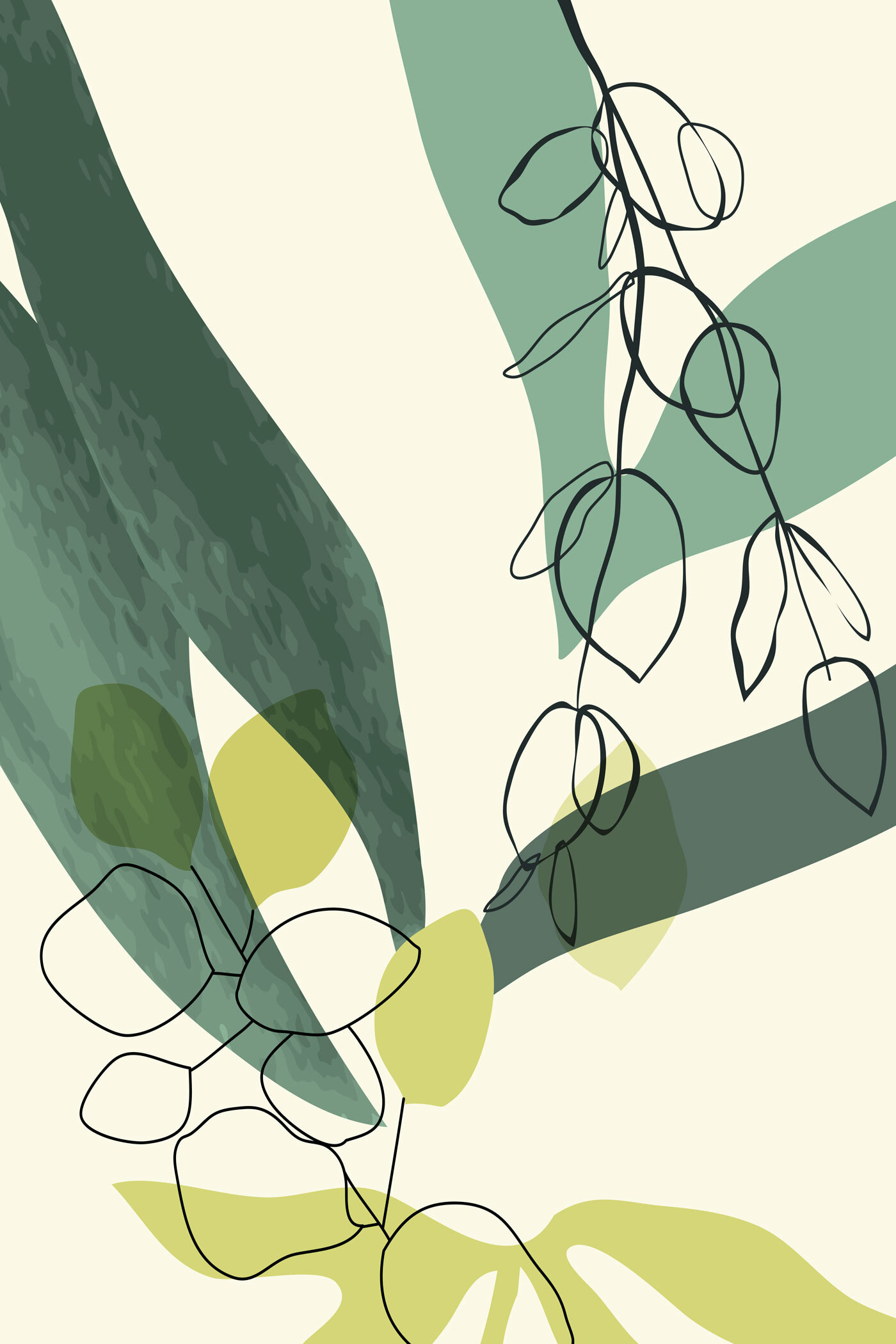 A drawing of a plant
