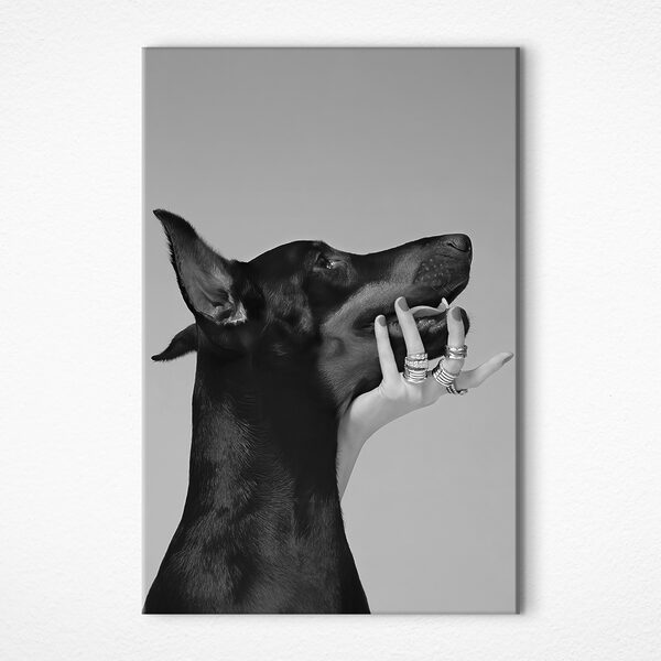 Quadri Quadri Una mano che accarezza il muso di un cane (COD: s36178)