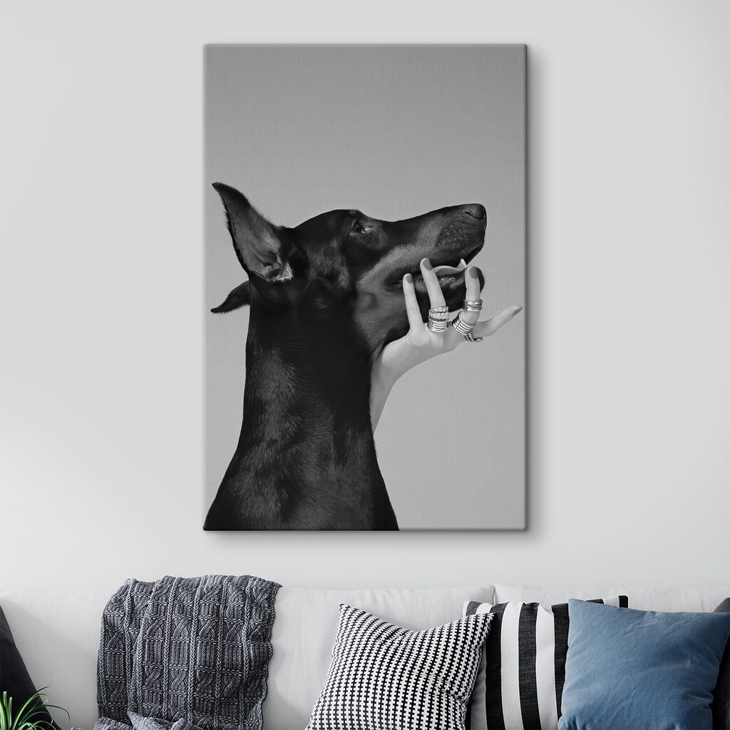A hand holding a dog's face A hand holding a dog's face