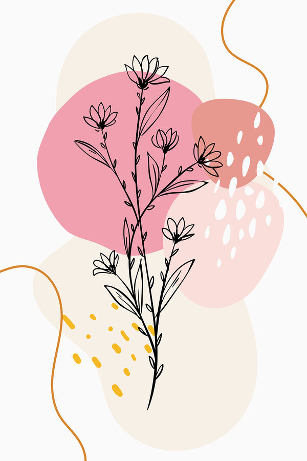 A drawing of a plant A drawing of a plant