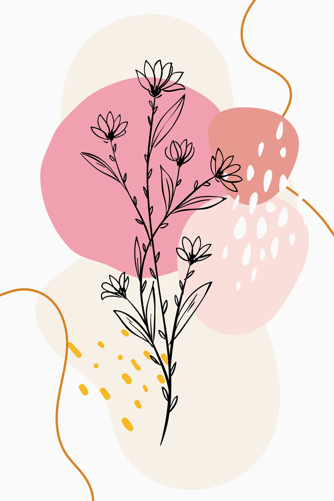 A drawing of a plant A drawing of a plant