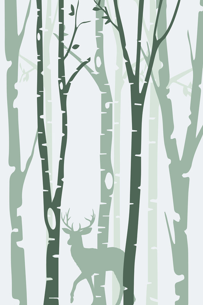 A deer in a forest