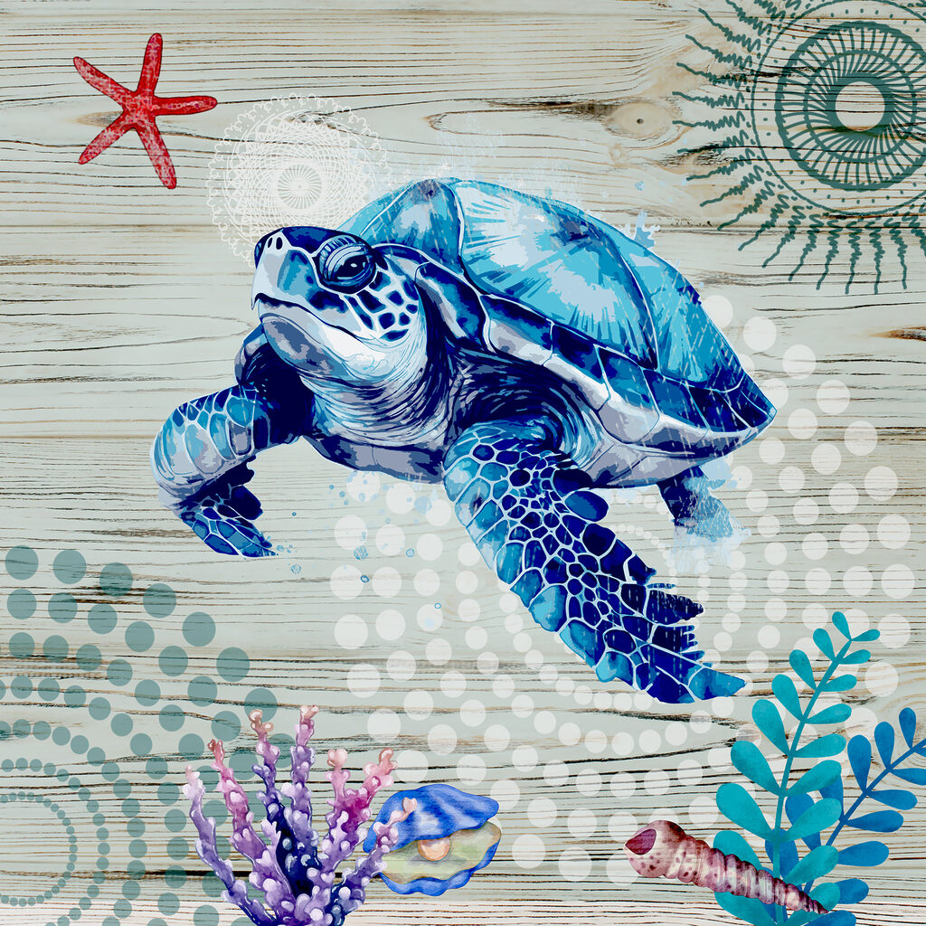 A blue sea turtle with corals and shells A blue sea turtle with corals and shells