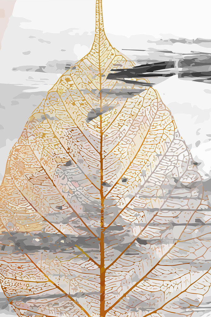 A close up of a leaf