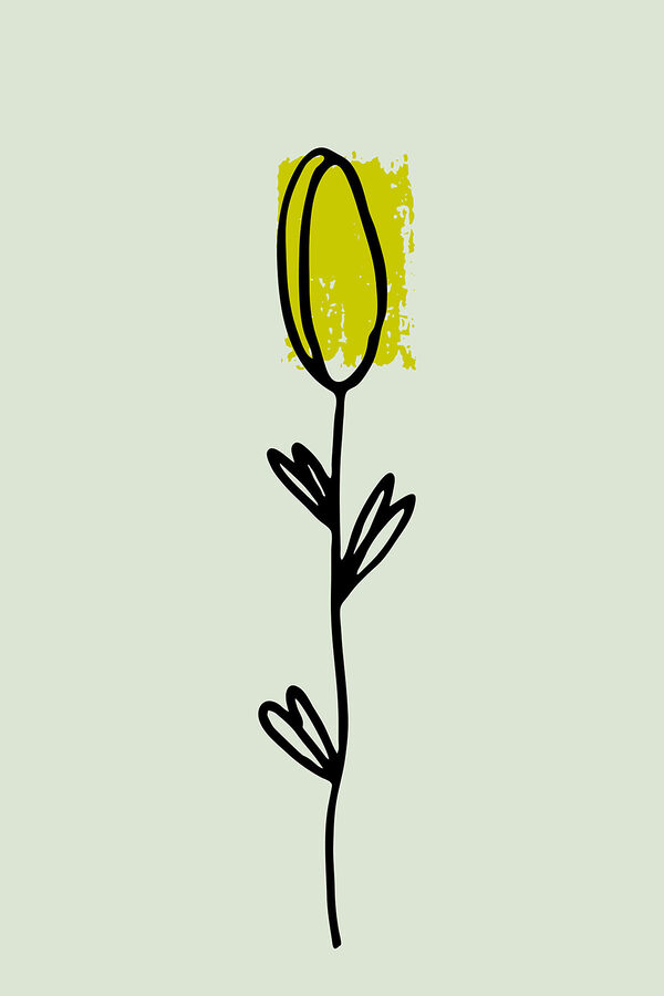 A drawing of a flower