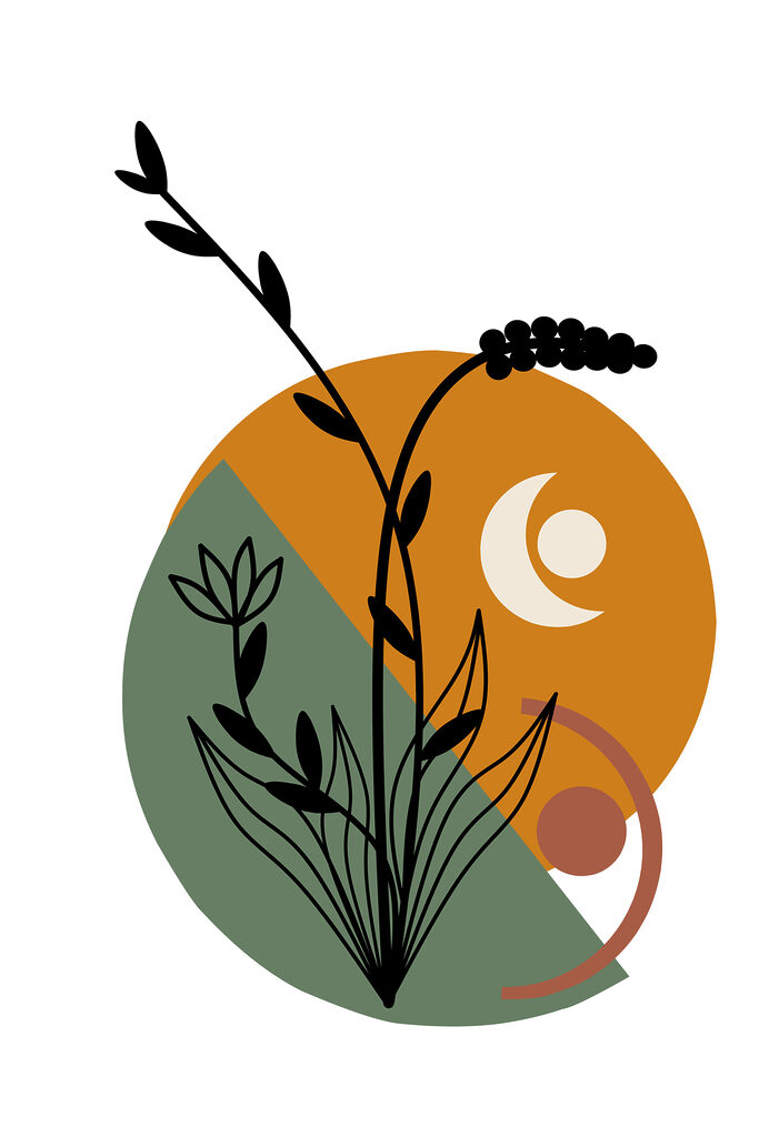 A flower with leaves and a circle
