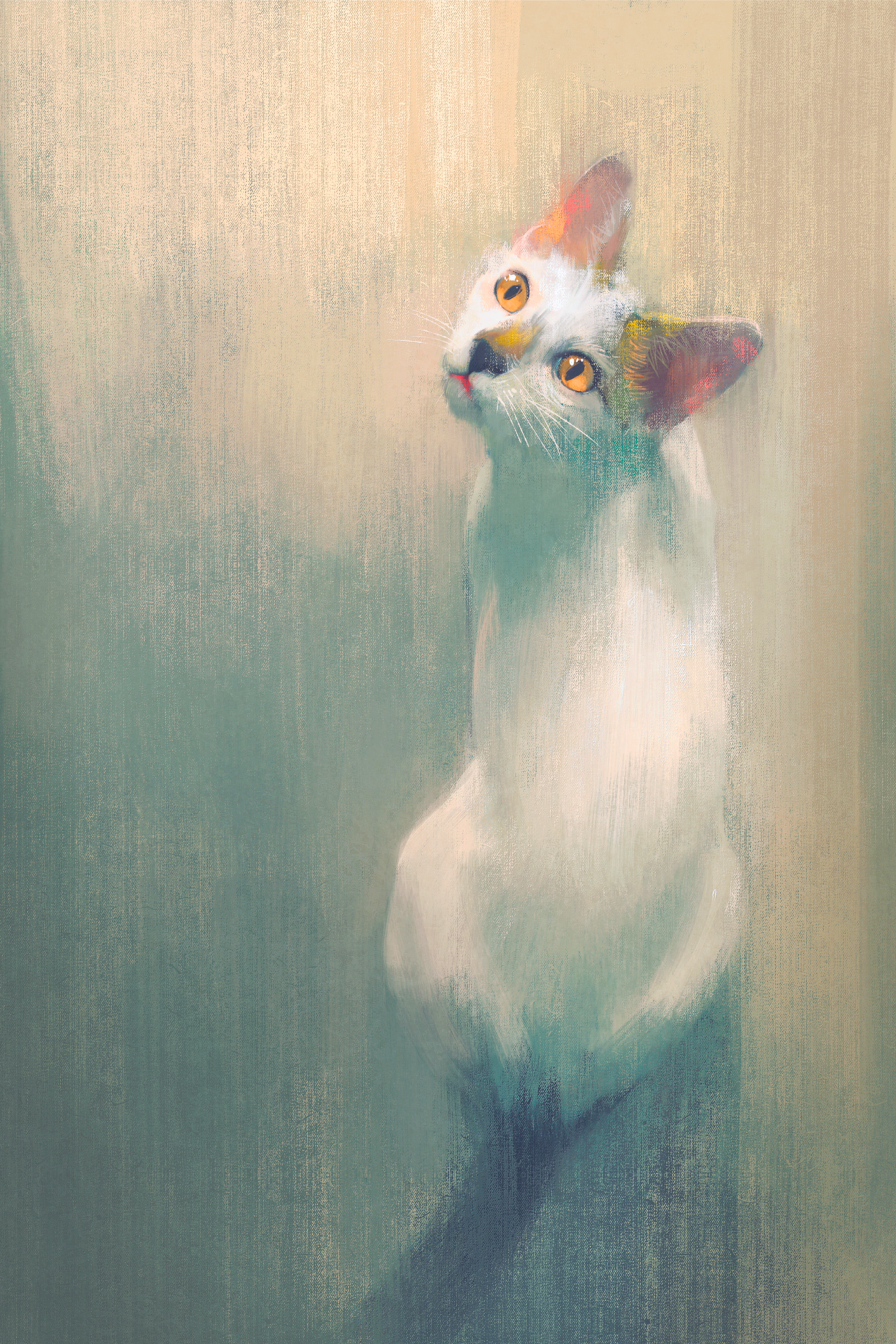 A white cat looking up