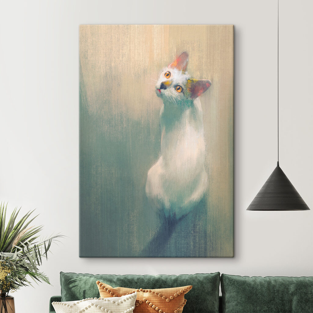 A white cat looking up