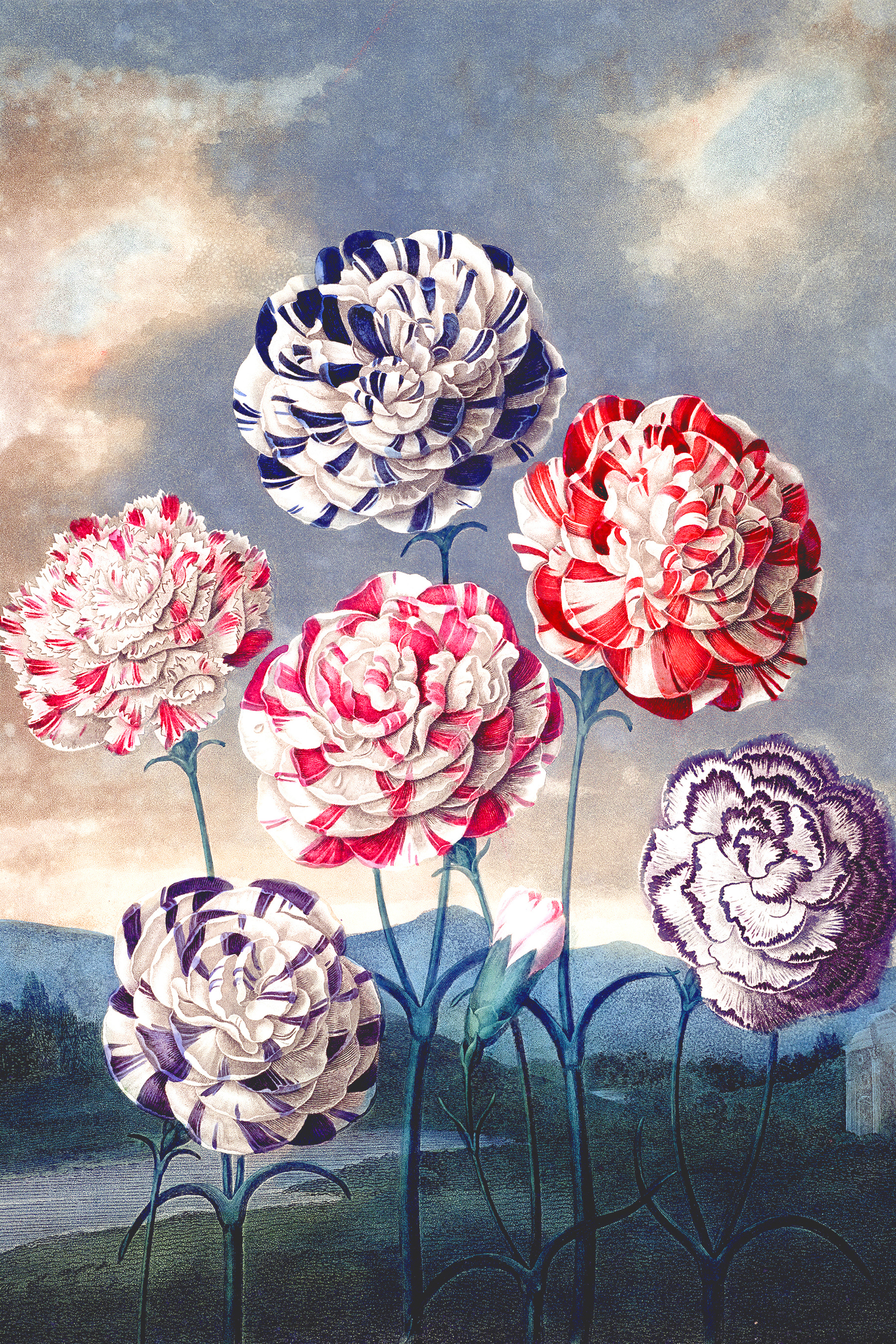 A group of flowers with blue sky and clouds