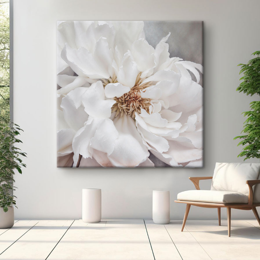 Delicate petals of pure elegance Delicate petals of pure elegance
