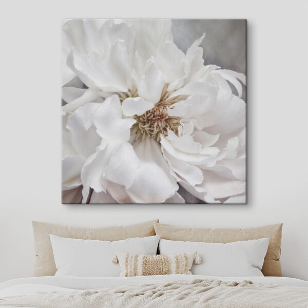 Delicate petals of pure elegance Delicate petals of pure elegance