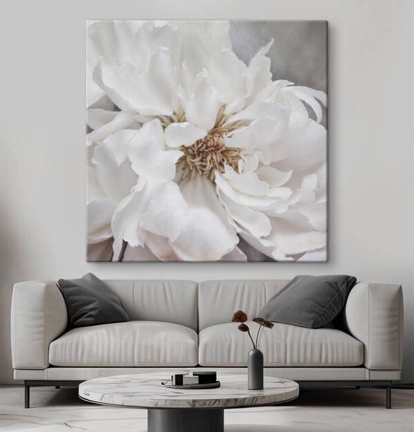 Delicate petals of pure elegance Delicate petals of pure elegance