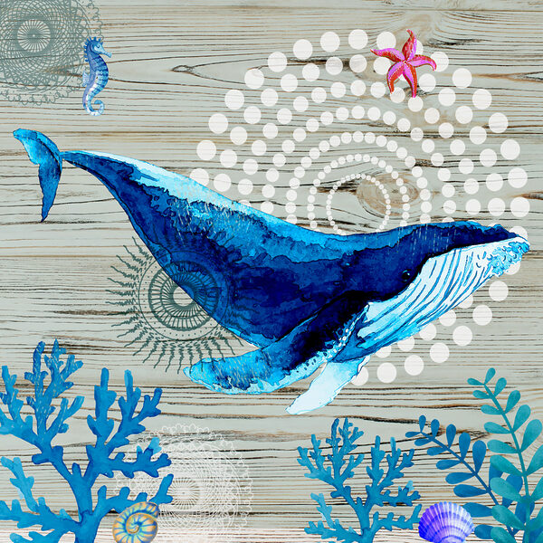 A blue whale and seaweed A blue whale and seaweed