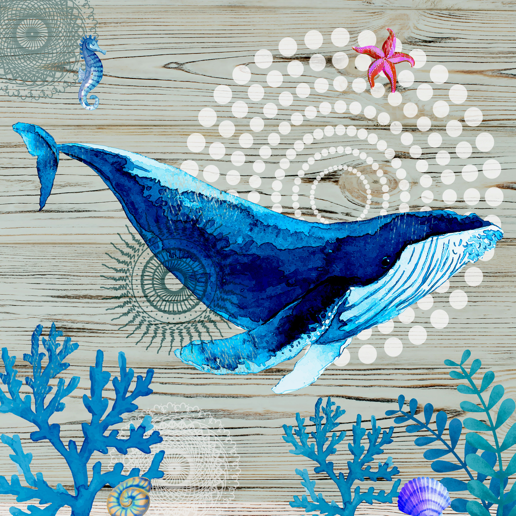 A blue whale and seaweed A blue whale and seaweed