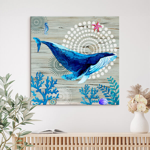 A blue whale and seaweed A blue whale and seaweed