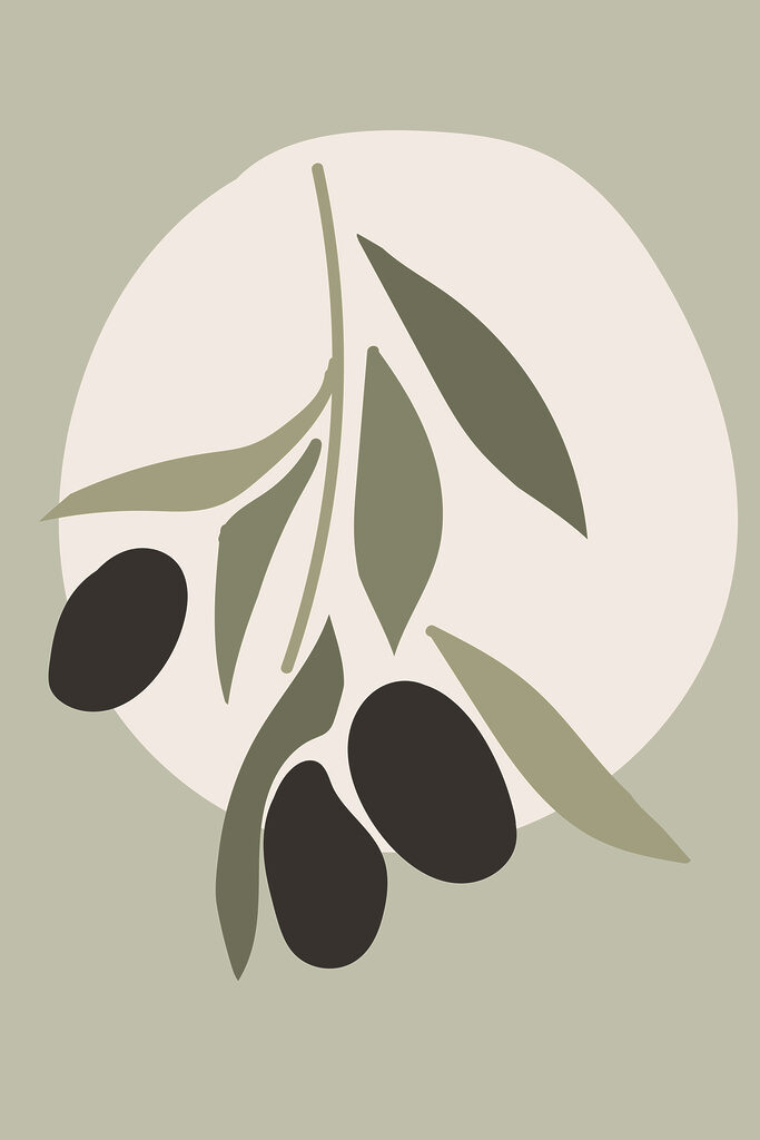 A black olives on a branch