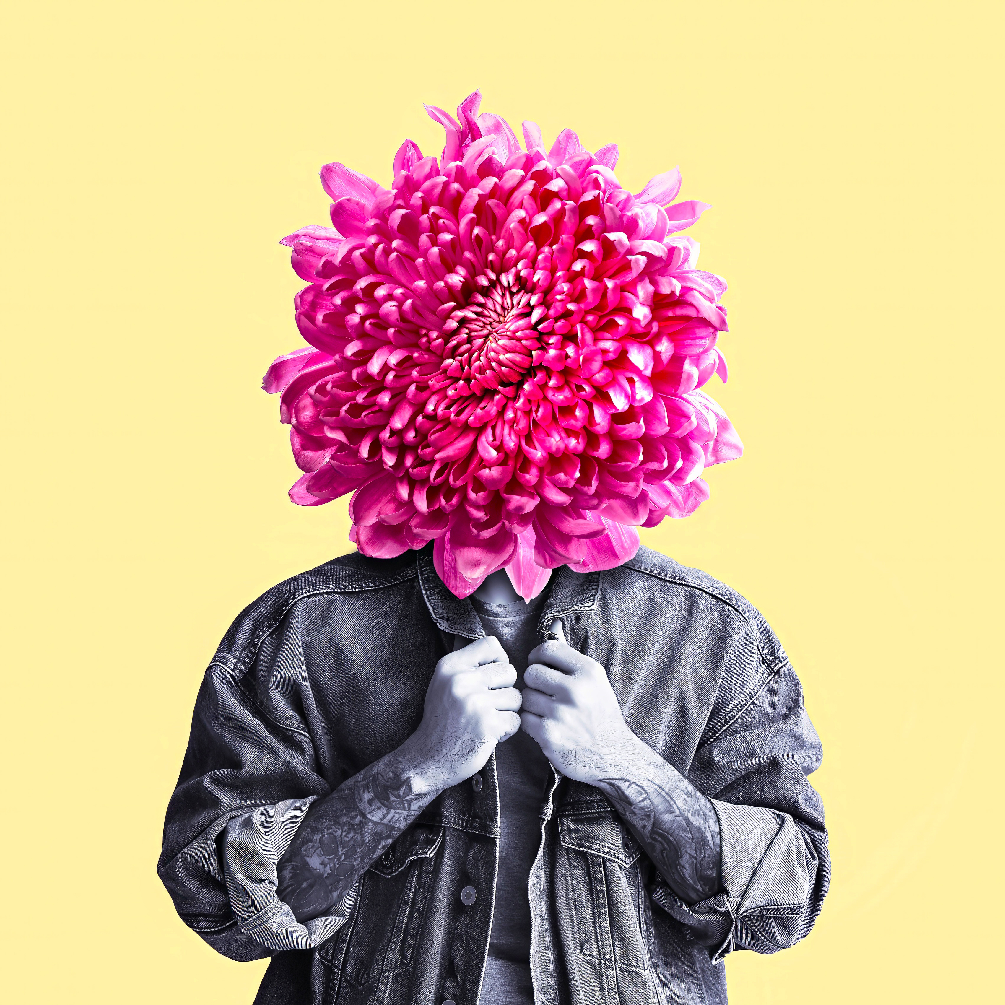 A person with a flower head