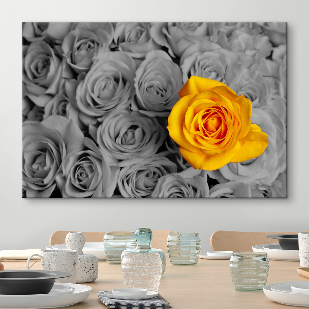 A yellow rose surrounded by grey roses A yellow rose surrounded by grey roses