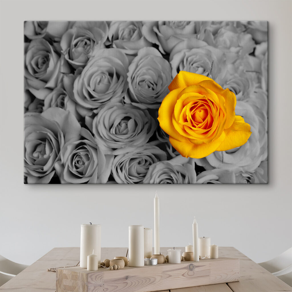 A yellow rose surrounded by grey roses A yellow rose surrounded by grey roses