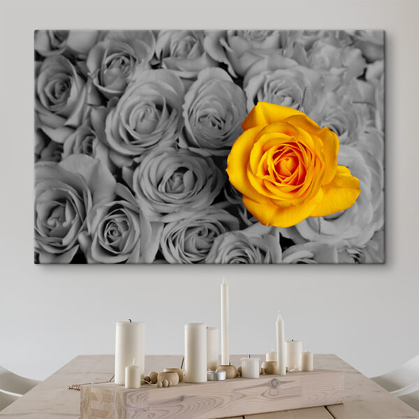 A yellow rose surrounded by grey roses A yellow rose surrounded by grey roses