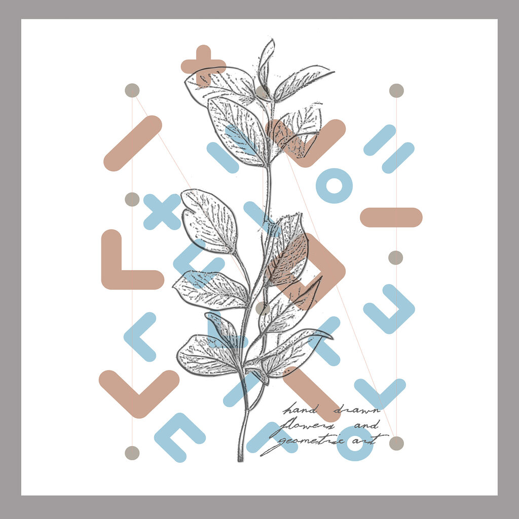 A drawing of a plant