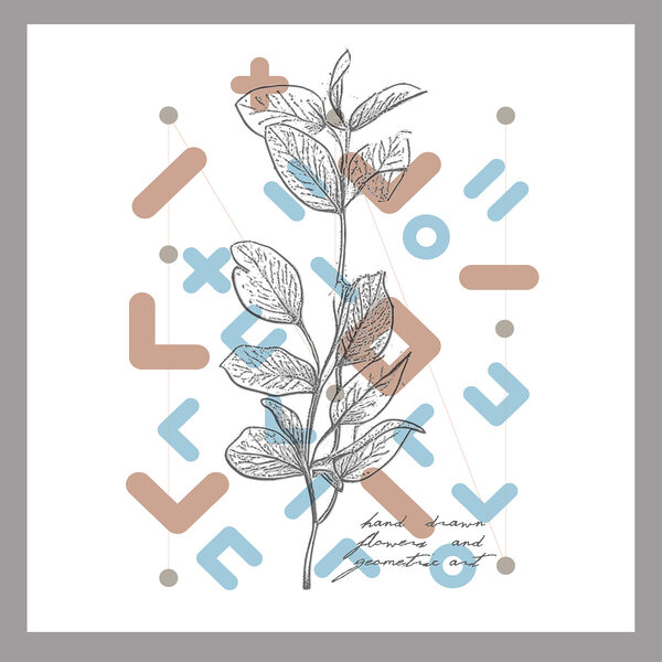 A drawing of a plant