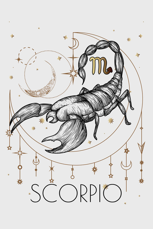 A drawing of a scorpion