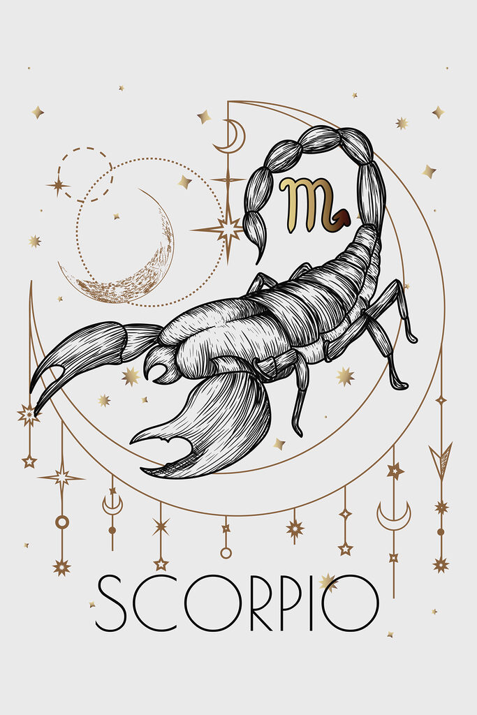 A drawing of a scorpion