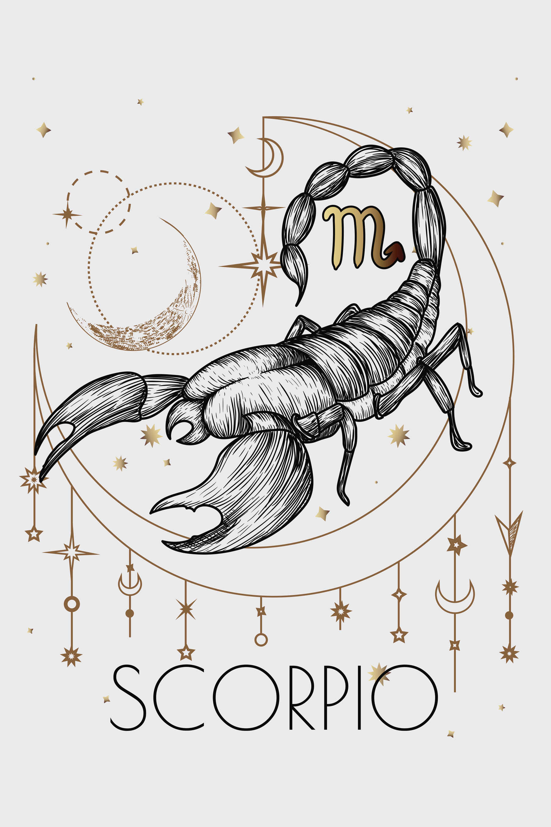 A drawing of a scorpion