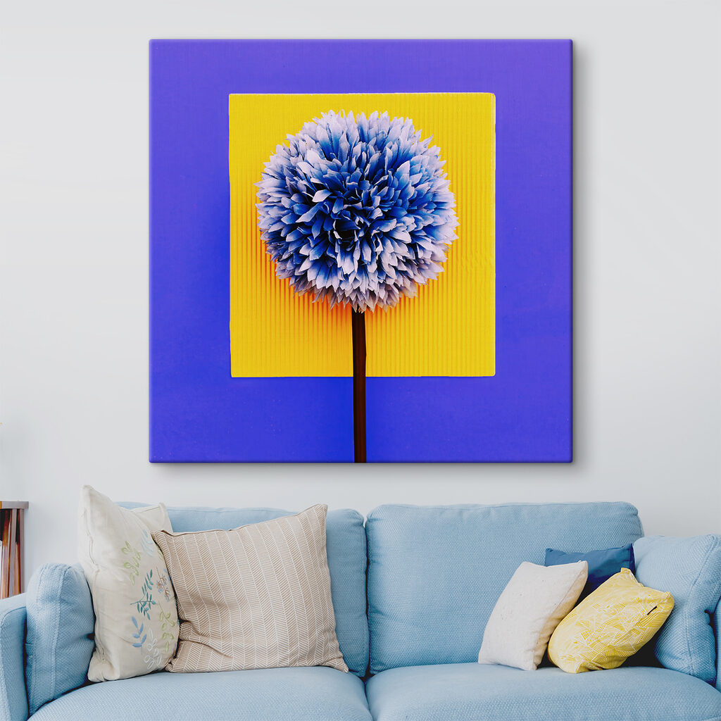 A blue and yellow flower