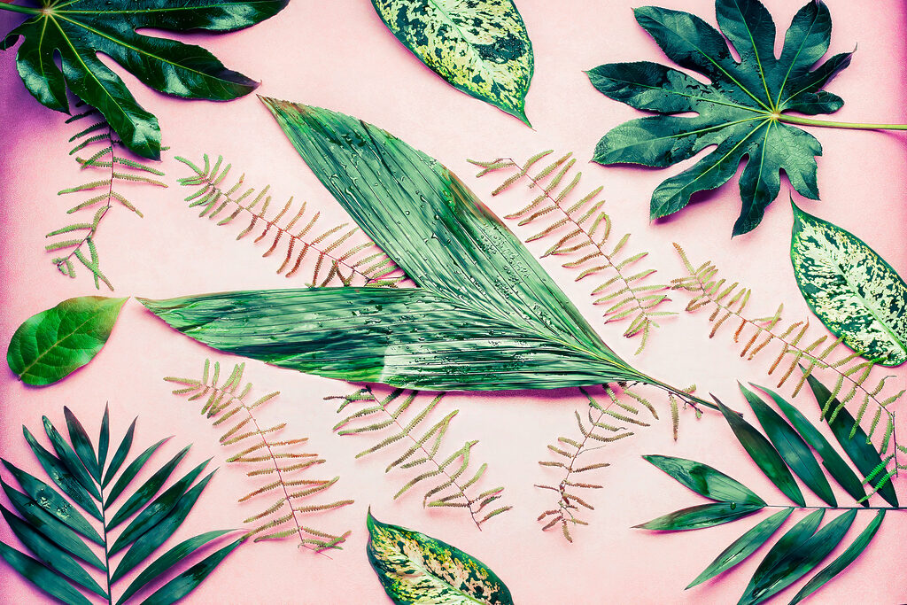 A group of green leaves