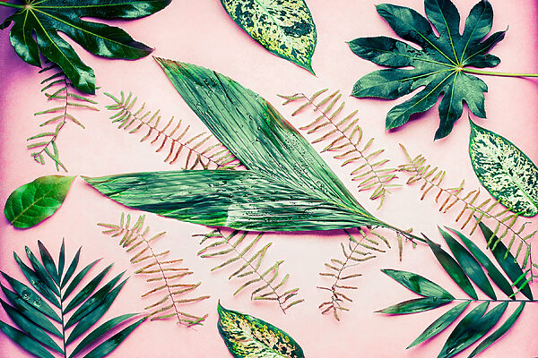 A group of green leaves