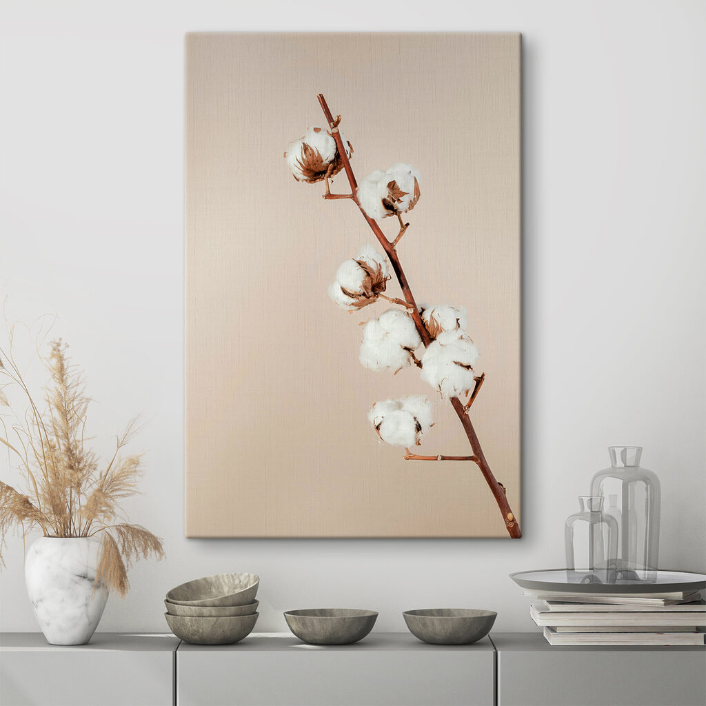 A cotton plant on a branch
