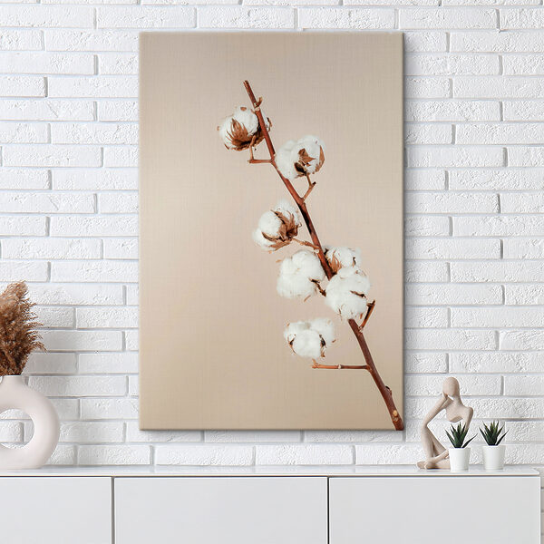 A cotton plant on a branch