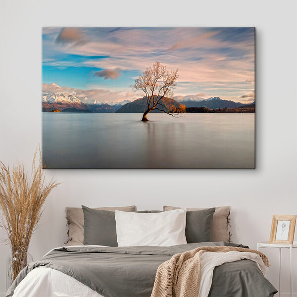 A tree in the water