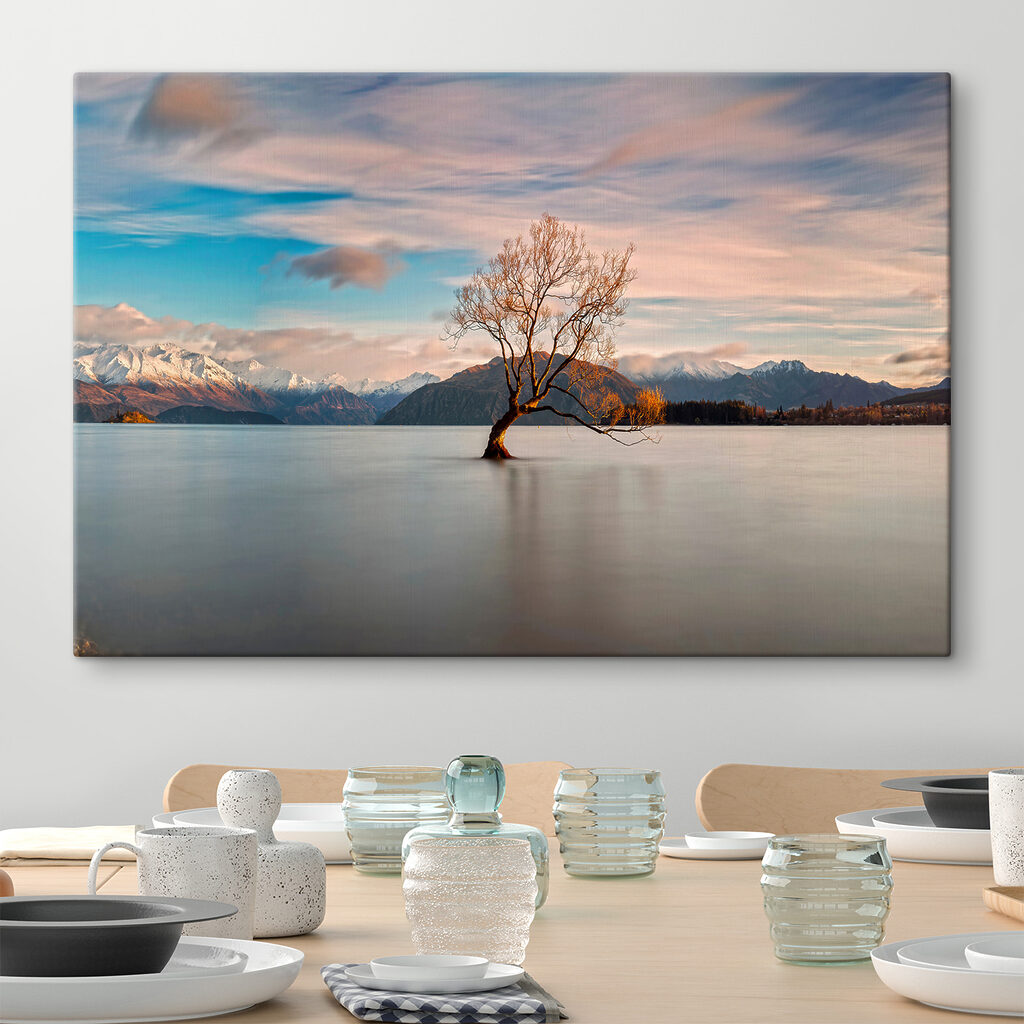 A tree in the water