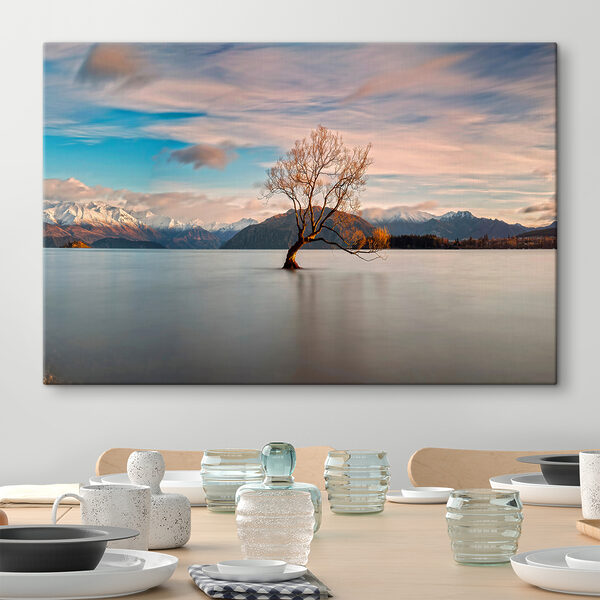 A tree in the water