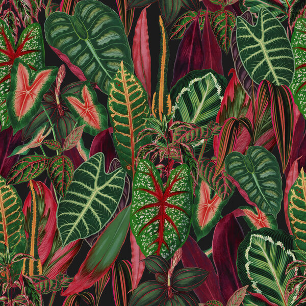 A close up of a pattern of leaves A close up of a pattern of leaves