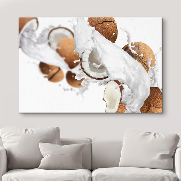 Quadri Quadri Noci di cocco e spruzzi di latte di cocco (COD: s37035)