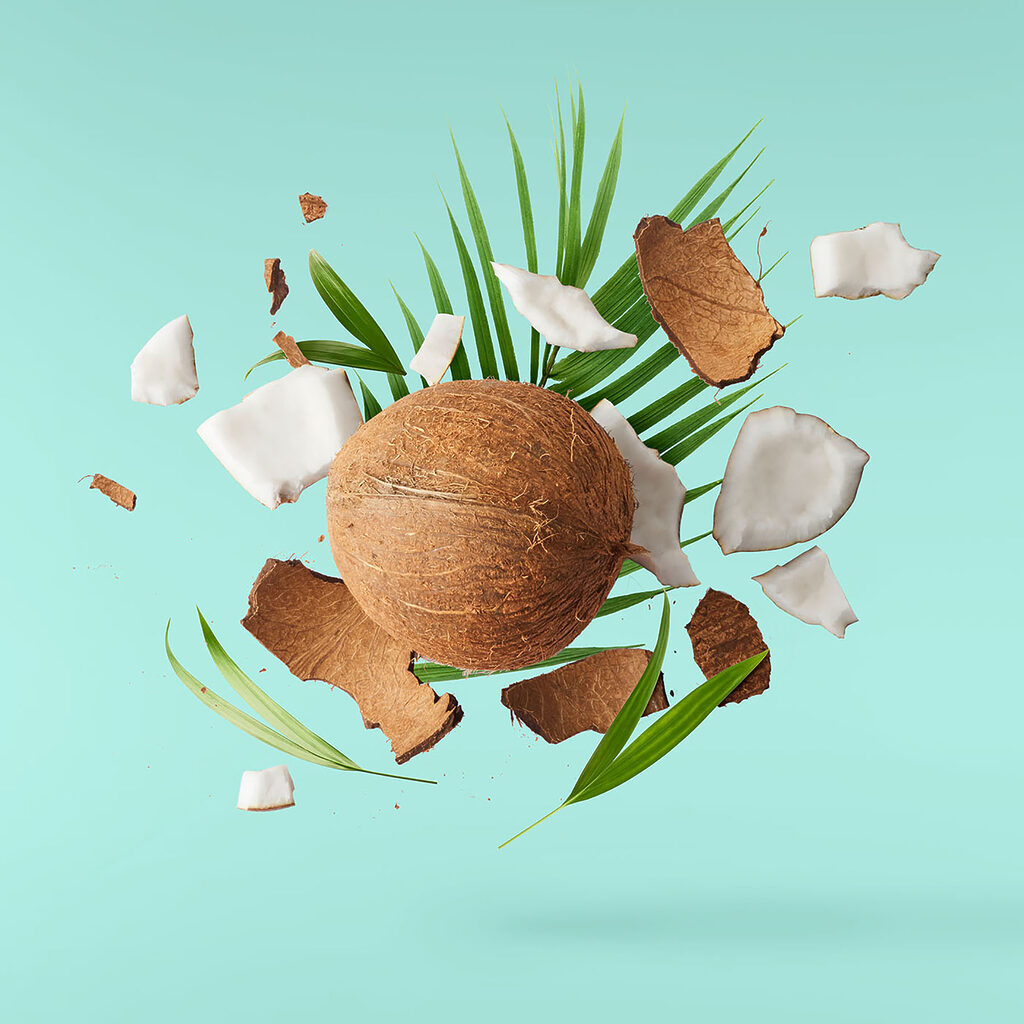 A coconut and palm leaves A coconut and palm leaves