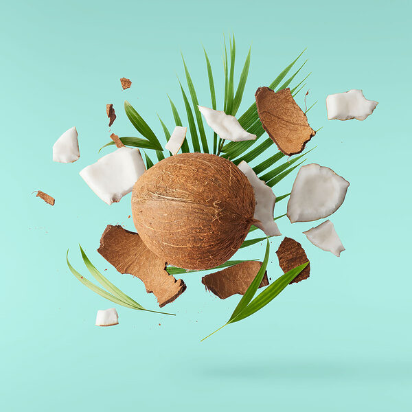 A coconut and palm leaves A coconut and palm leaves